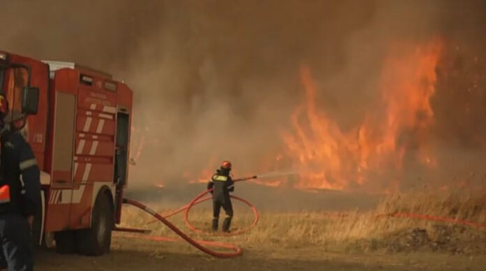 FIRE-3.jpg