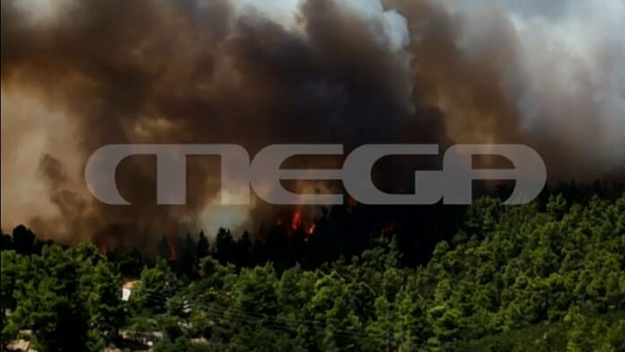 FIRE.jpg