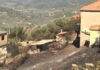 Φωκίδα: Στάχτη σπίτια και περιουσίες – Μετρούν τις πληγές τους οι κάτοικοι
