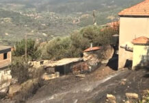 Φωκίδα: Στάχτη σπίτια και περιουσίες – Μετρούν τις πληγές τους οι κάτοικοι
