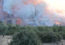 Το MEGA στα μέτωπα της πυρκαγιάς: Μάχη με τις φλόγες και τους θυελλώδεις ανέμους δίνουν οι πυροσβεστικές δυνάμεις