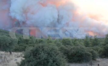 Το MEGA στα μέτωπα της πυρκαγιάς: Μάχη με τις φλόγες και τους θυελλώδεις ανέμους δίνουν οι πυροσβεστικές δυνάμεις – Live όλες οι εξελίξεις