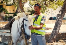 Άνδρος: Έκοψαν κλήση σε αναβάτη αλόγου για μέθη – «Μπορεί να ήταν λίγο επικίνδυνο αλλά…»