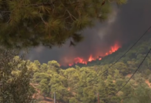Μάχη με τις αναζωπυρώσεις στη Δυτική Αττική – «Αγία Παρασκευή, Κανδήλι και Ψάθα τα τρία μέτωπα που μας απασχολούν», λέει εκπρόσωπος της Πυροσβεστικής