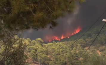 Μάχη με τις αναζωπυρώσεις στη Δυτική Αττική – «Αγία Παρασκευή, Κανδήλι και Ψάθα τα τρία μέτωπα που μας απασχολούν», λέει εκπρόσωπος της Πυροσβεστικής