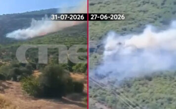 Βίντεο ντοκουμέντο του MEGA από την φωτιά στη Βοιωτία – Το σημείο «μηδέν» της καταστροφικής πυρκαγιάς που κατακαίει τη Δυτική Αττική