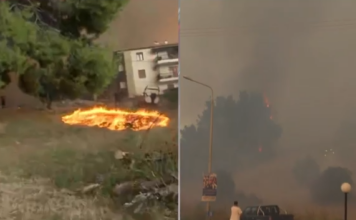 Μάχη με τις φλόγες σε Χαλκιδική, Αιτωλοακαρνανία & Ηλεία
