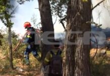 Σε πύρινο κλοιό Πόρτο Γερμενό και Προσήλι – Σε επιφυλακή και στον Άγιο Νεκτάριο