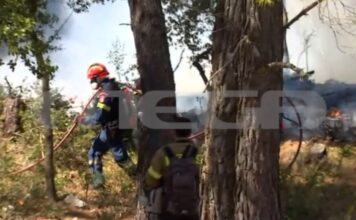 Σε πύρινο κλοιό Πόρτο Γερμενό και Προσήλι – Σε επιφυλακή και στον Άγιο Νεκτάριο