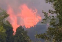 Δραματικές ώρες στη Δυτική Αττική – Ανεξέλεγκτη η φωτιά σε Πόρτο Γερμενό και Μέγαρα