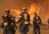 Πολύ υψηλός κίνδυνος πυρκαγιάς σε αυτές τις περιοχές σήμερα