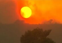 Σε κλοιό καύσωνα η Ευρώπη – Θερμοκρασίες άνω των 40 βαθμών