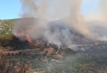 Πύρινος εφιάλτης στην Κεφαλονιά – Μπαράζ μηνυμάτων από το 112, εκκενώσεις και αγωνία