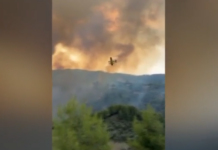 Μεγάλη φωτιά σε δάσος στο Μουζάκι Ηλείας – Επιχειρούν εναέρια μέσα