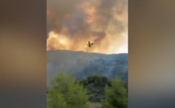 Μεγάλη φωτιά σε δάσος στο Μουζάκι Ηλείας – Επιχειρούν εναέρια μέσα