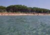 Ηλεία: Βουτιά στη θάλασσα κατέληξε σε εφιάλτη – 31χρονη χτύπησε σοβαρά στον αυχένα