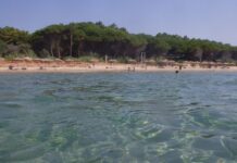 Ηλεία: Βουτιά στη θάλασσα κατέληξε σε εφιάλτη – 31χρονη χτύπησε σοβαρά στον αυχένα