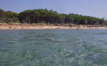 Ηλεία: Βουτιά στη θάλασσα κατέληξε σε εφιάλτη – 31χρονη χτύπησε σοβαρά στον αυχένα
