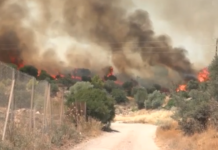 Πύρινος όλεθρος σε Κανδήλι, Κρύο Πηγάδι, Αγία Σκέπη – Στα σπίτια οι φλόγες