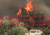 Το MEGA στα πύρινα μέτωπα – Κοντά στα σπίτια στην Ψάθα η φωτιά