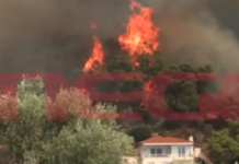 Το MEGA στα πύρινα μέτωπα – Κοντά στα σπίτια στην Ψάθα η φωτιά