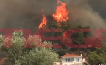 Το MEGA στα πύρινα μέτωπα – Κοντά στα σπίτια στην Ψάθα η φωτιά