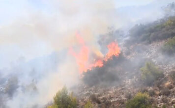 Φωτιά στην Σαλαμίνα: Εντοπίστηκαν δύο σοροί κοντά στο πύρινο μέτωπο – Κάηκαν σπίτια, εκκενώνονται οικισμοί