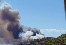 ΕΛΑΣ: Προέχει η προστασία της ανθρώπινης ζωής στη Σαλαμίνα – Πλήρης διερεύνηση μετά την πυρκαγιά