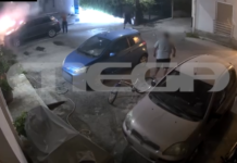 Τροιζήνα: Η δράση 40χρονου εμπρηστή – MEGA αποκλειστικό