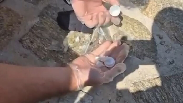 ΜΑΡΚ.jpg