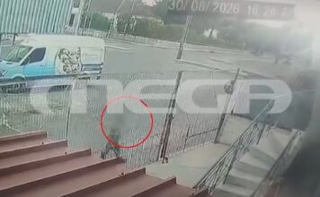 Μεσσηνία: 60χρονος συνελήφθη για εμπρησμούς, αφέθηκε ελεύθερος & έβαλε ξανά φωτιές