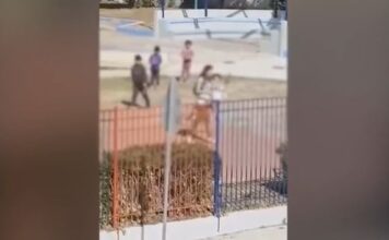 Άνω Λιόσια: Δασκάλα σε αμόκ σπρώχνει και απειλεί παιδάκια νηπιαγωγείου