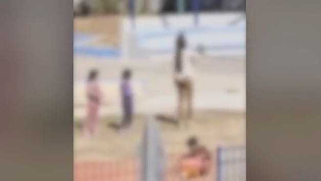 Capture-282.jpg
