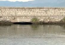 Γέμισε από λύματα η λιμνοθάλασσα Μεσολογγίου – «Άδειασε» από ψάρια