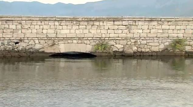 Capture-91.jpg