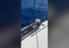 Κρήτη: Αγωνία για τον 67χρονο που αγνοείται ενώ έκανε σερφ – Μεγάλη επιχείρηση εντοπισμού