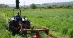 Κομισιόν για αγροτικές επιδοτήσεις: «Αποφασιστικά μέτρα από την Ελλάδα» – Τι λέει μετά το δημοσίευμα του Politico