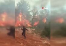 Τουρκία: Συνεχίζεται η «μάχη» με τις φλόγες στην Αττάλεια