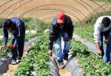 Αύξηση της νόμιμης μετανάστευσης μετά τον νέο νόμο – Στις 64.095 οι εγκρίσεις μετακλήσεων το πρώτο οκτάμηνο