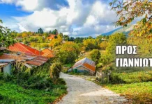 Ο δρόμος που λίγοι γνωρίζουν: Από τον ορεινό Βάλτο στα απομονωμένα χωριά της Άρτας (βίντεο)
