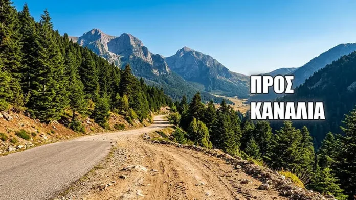 screenshot_156.webp.webp