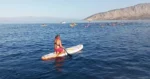 Με απόλυτη επιτυχία στέφθηκε η διοργάνωση του 5ου κολυμβητικού διάπλου «Μύλος Κάστρο Καλάμου – Φάρος Μύτικα»