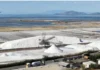 Η συγκομιδή του “Λευκού χρυσού” του Μεσολογγίου (βίντεο)