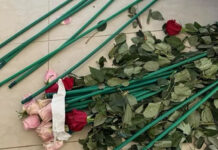 Αττική: Έκρυβαν 84 κιλά κοκαΐνης σε τριαντάφυλλα – 4 συλλήψεις