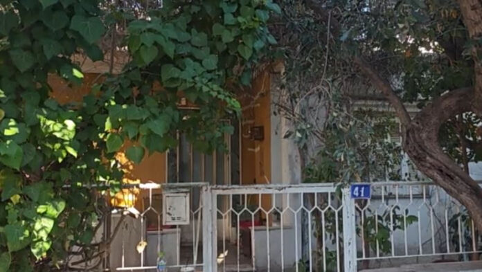 MENIDI.jpg