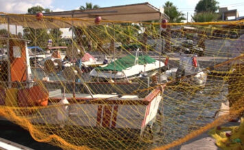 Αλιείς: Ζητούν επιδότηση 50 λεπτών ανά λίτρο για το πετρέλαιο κίνησης – Ο Γ.Γ. του υπουργείου Αγροτικής Ανάπτυξης στο MEGA