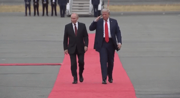 TRUMP3.gif