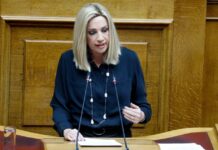 Πέντε χρόνια χωρίς τη Φώφη Γεννηματά: Η πολιτικός πίσω από τη γενναία μάχη με τον καρκίνο