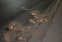 Γλυφάδα: Ένας νεκρός από πυροβολισμό στο κεφάλι – Εντοπίστηκαν 8 κάλυκες