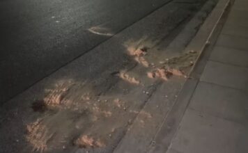 Γλυφάδα: Ένας νεκρός από πυροβολισμό στο κεφάλι – Εντοπίστηκαν 8 κάλυκες